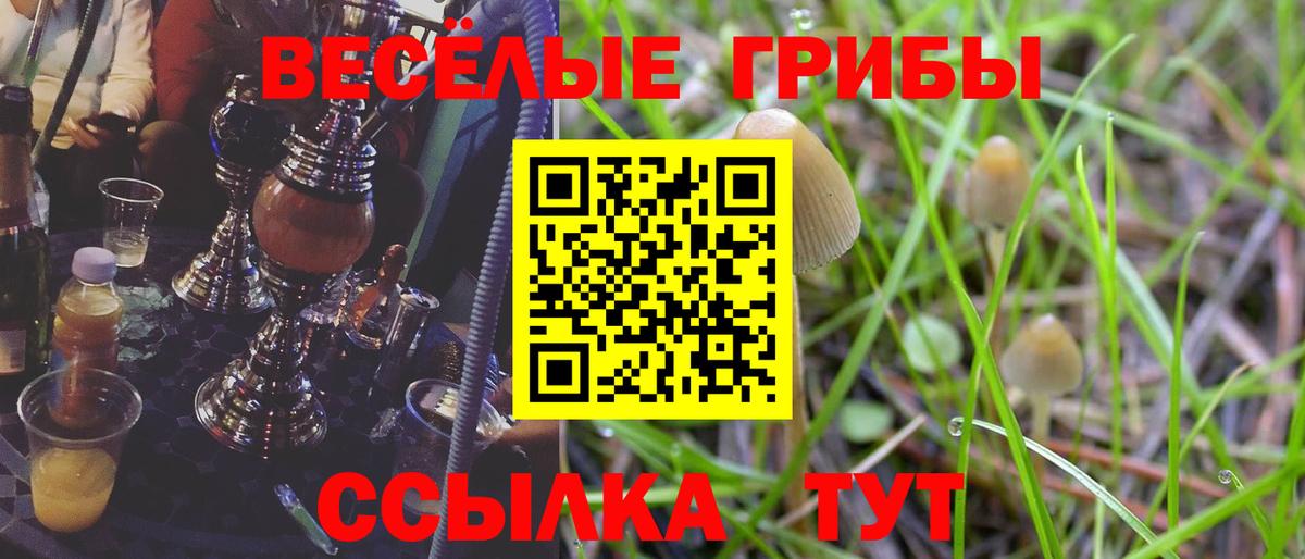 Псилоцибиновые грибы мицелий  Вход с VPN  Пенза 